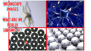 HAIL HYDRA: Microscope Images of Covid Vax Synthetic Biology and Nano Bioelectronics