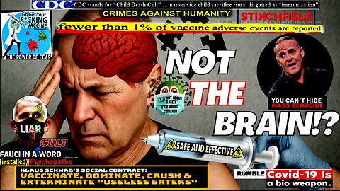 The Mind Meltdown: Are COVID Shots Fueling America’s Cognitive Collapse? (compilation version)