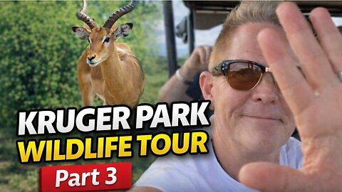 Kruger National Wildlife Park TOUR ⛰️🐗🦁 Part #3