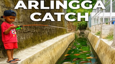 Fishing in a Ditch