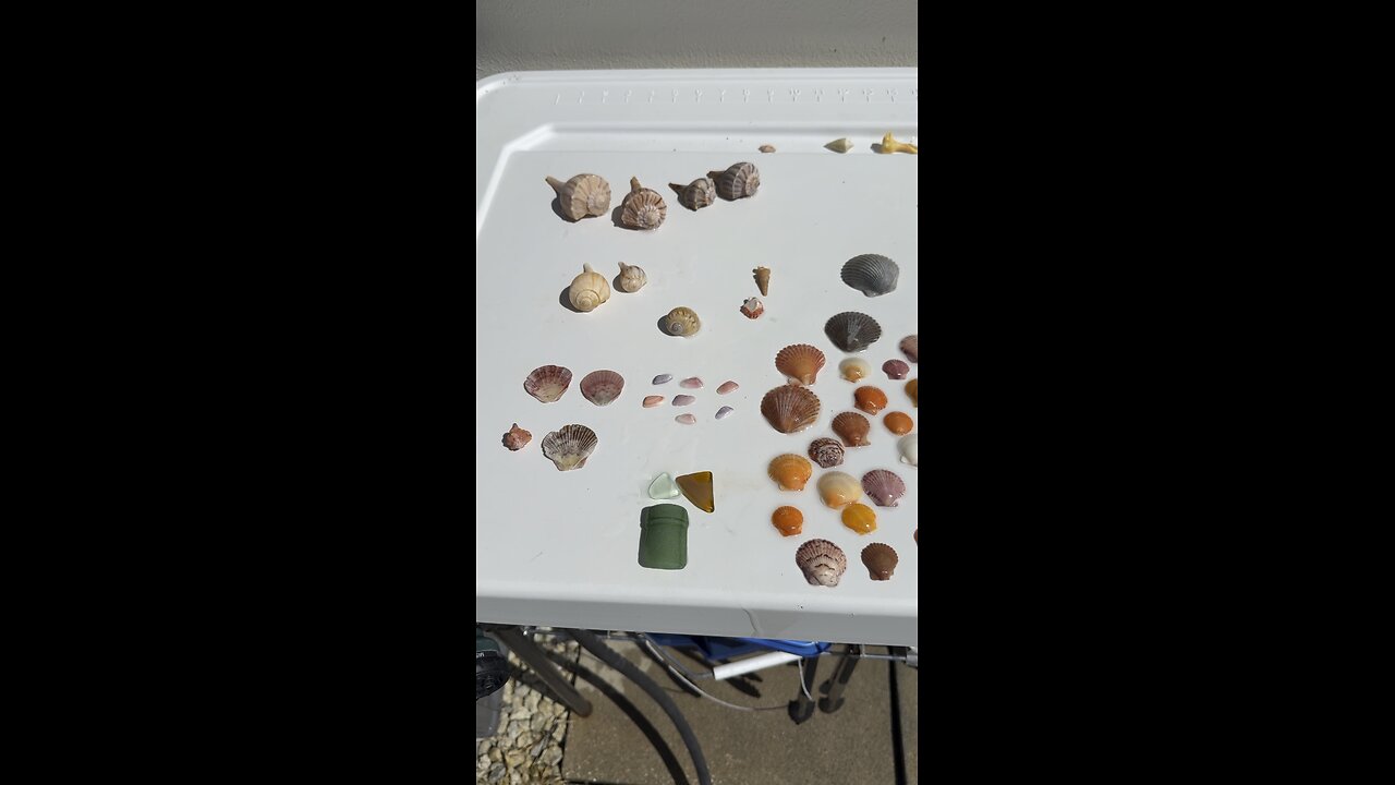 Beach Finds 7/17/2025 | 4K