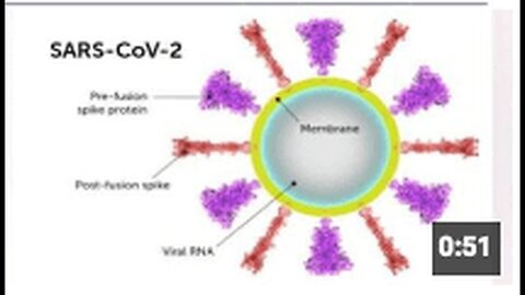 "mRNA COVID-19 Vaccine - Spike Protein Link to Elderly Deaths Post-Vaccination"