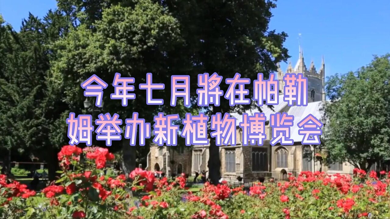 今年七月将在帕勒姆举办新植物博览会