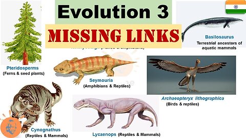 "Claiming to be wise, they became fools". Theory of Evolution is slowly being debunked.