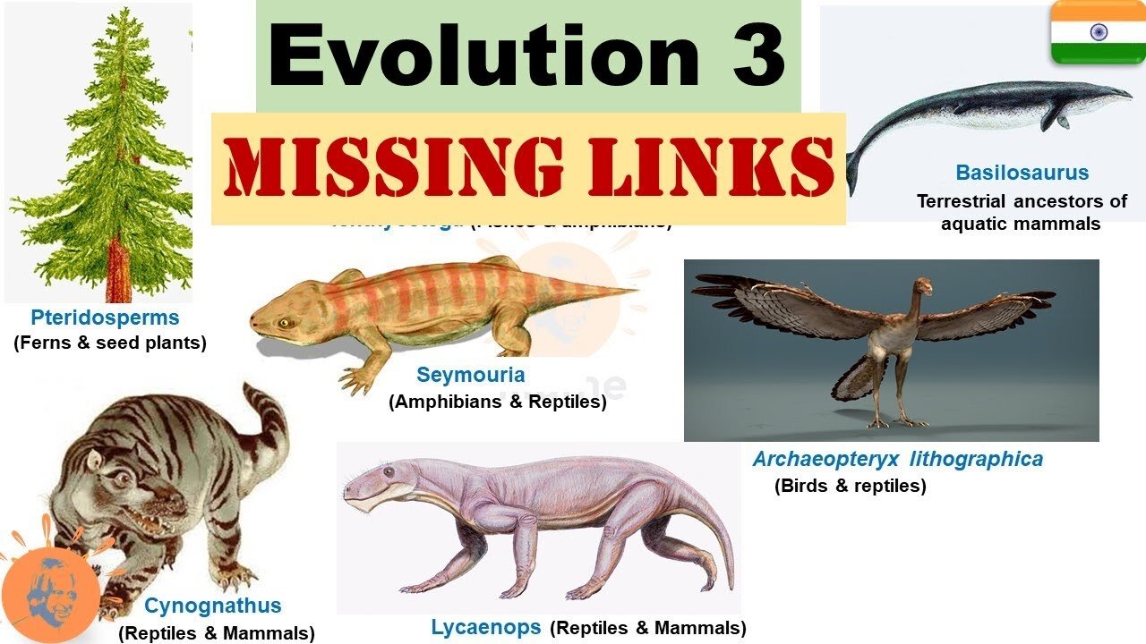 "Claiming to be wise, they became fools". Theory of Evolution is slowly being debunked.