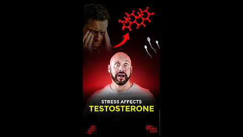 Stress Is KILLING Your Testosterone Levels?