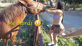 Me mordí un caballo 😳 isla Lefkada 🇬🇷