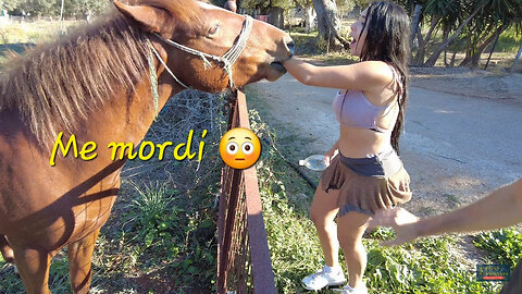 Me mordí un caballo 😳 isla Lefkada 🇬🇷