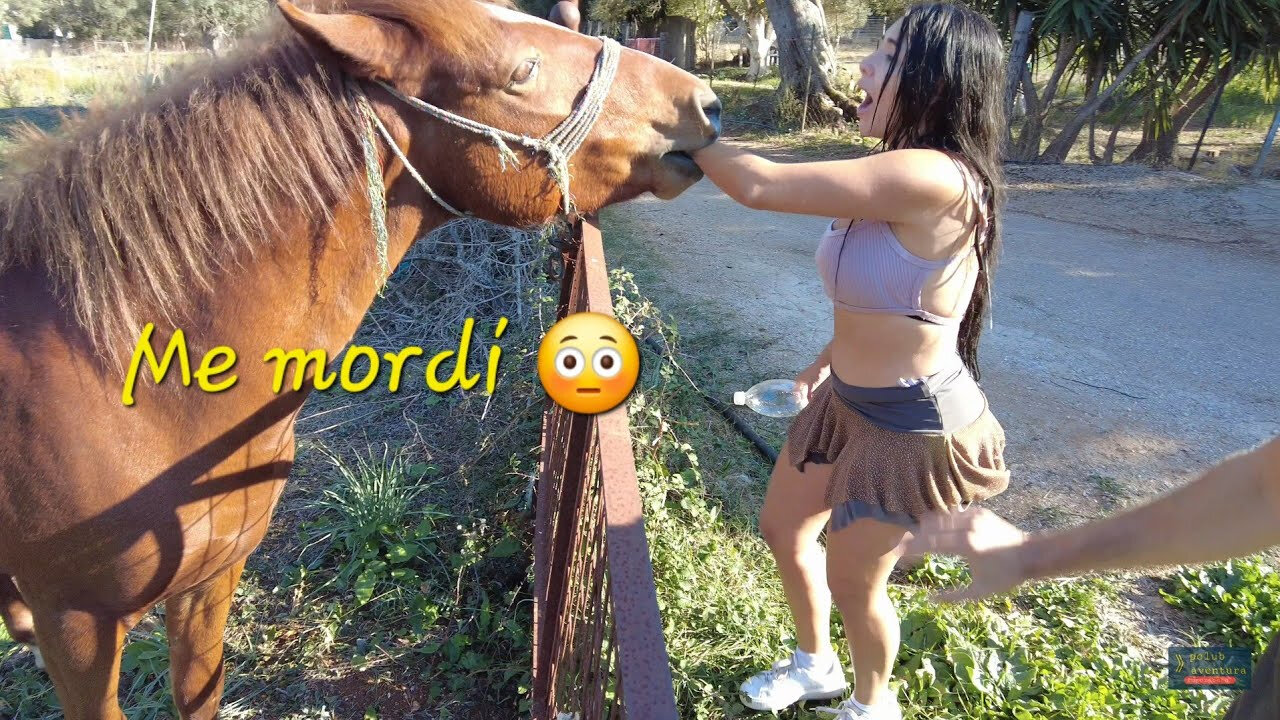 Me mordí un caballo 😳 isla Lefkada 🇬🇷