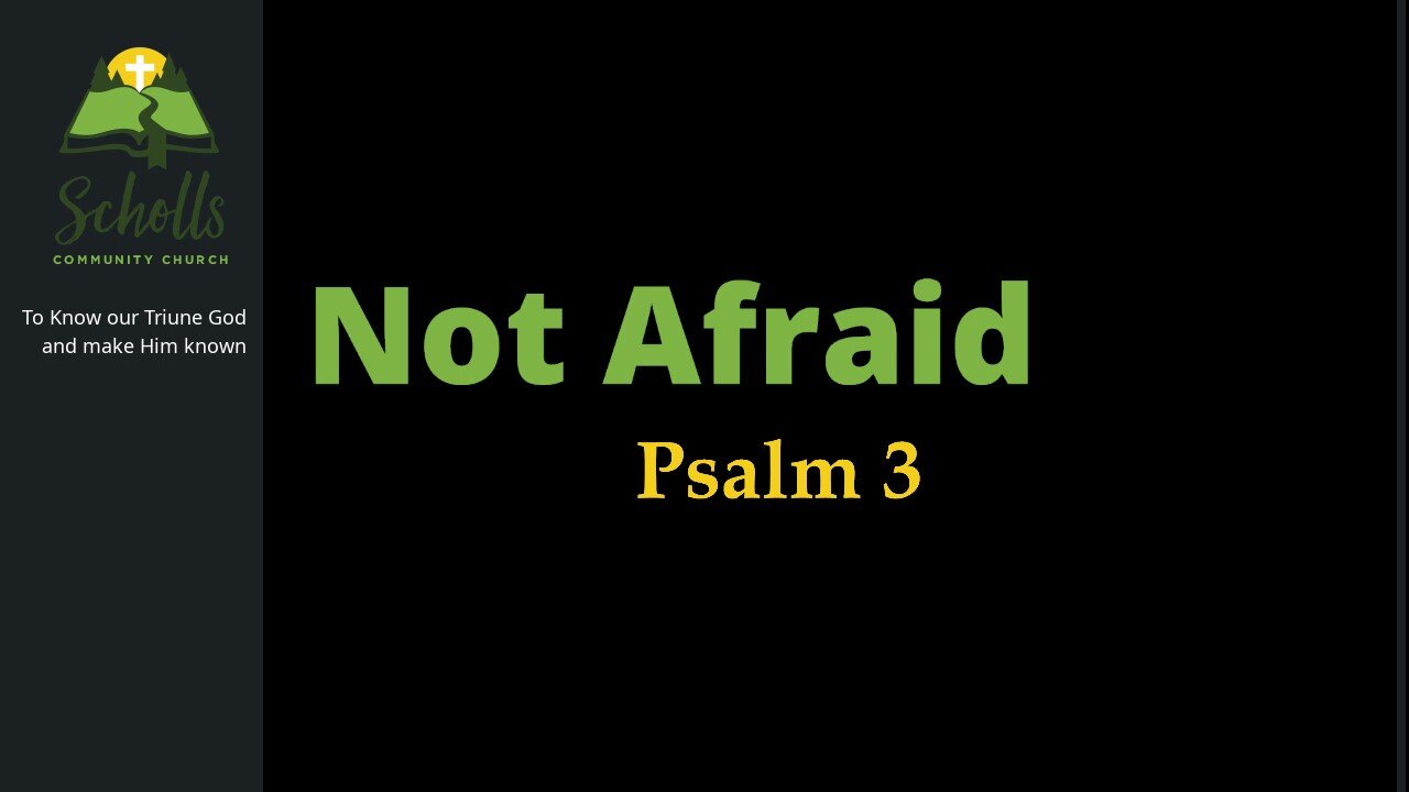 Not Afraid