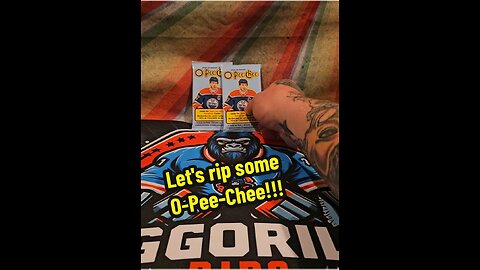 2 packs of 2024-25 O-Pee-Chee!