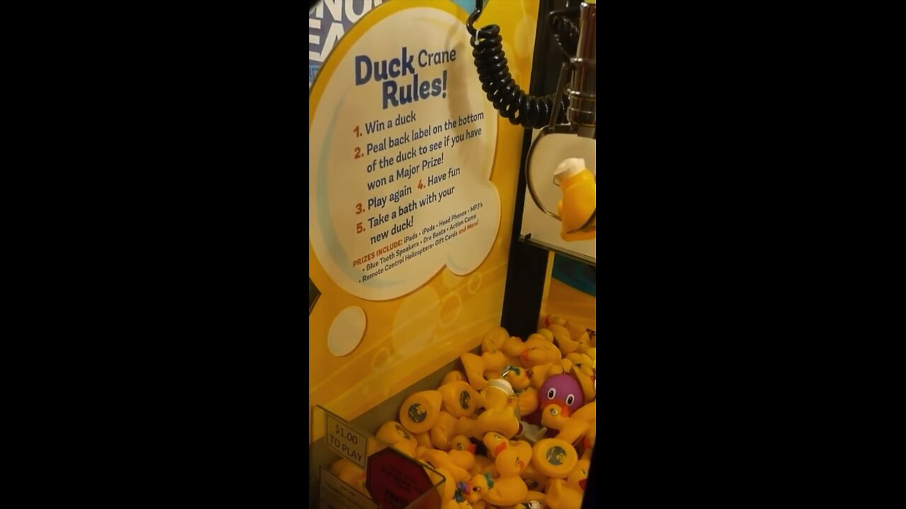 Lucky Duck Claw Machine! 🦆
