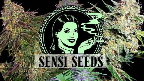 Sensi seeds