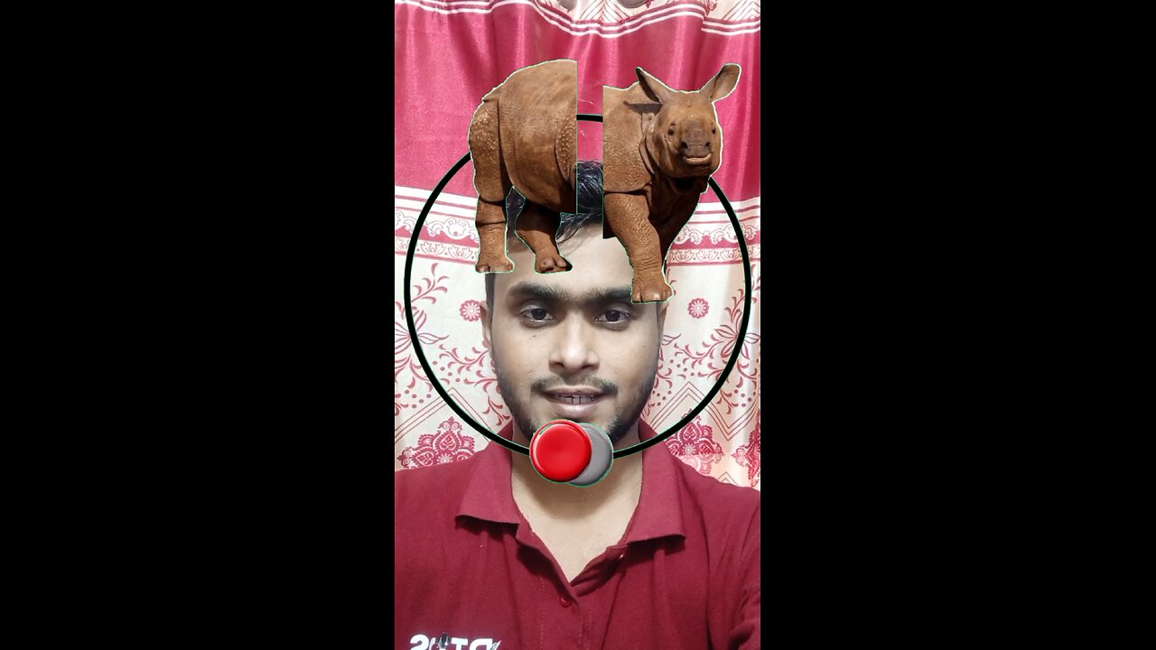 গন্ডারটি জোড়া লাগান ৫২ #reels #puzzle #tending #viral