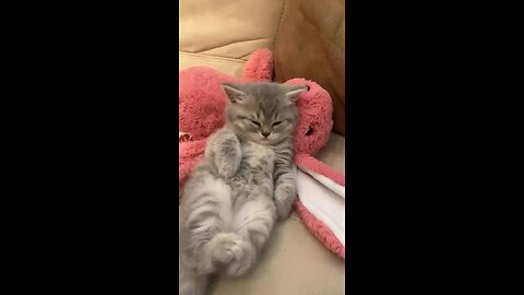 Falling asleep 😴