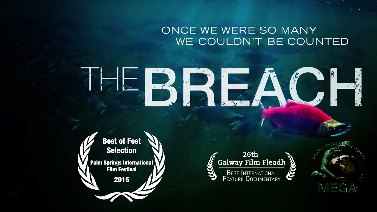 The Breach | Documentary