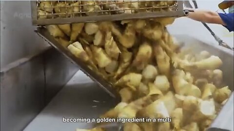 How Million Tons of Bamboo Shoots Are Harvested & Processed Amazing Bamboo Shoot Farming