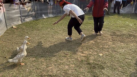 I was terrible at blindfolded duck catching...
