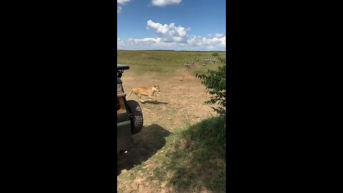 just wait for it