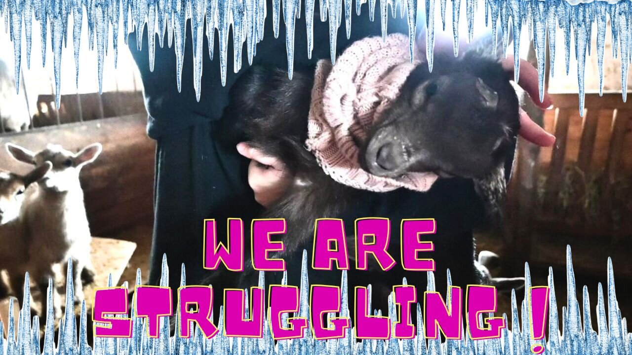 PLEASE Send HELP To CANADA!