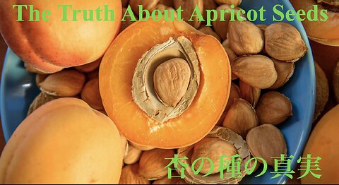 The Truth About Apricot Seeds ／ 杏の種の真実