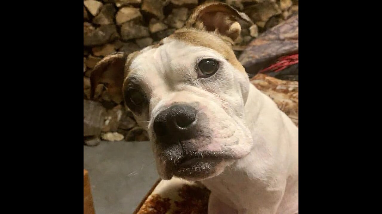 U talkin to me?