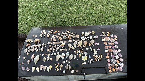 Beach Finds 3/19/25-3/20/25 | 4K