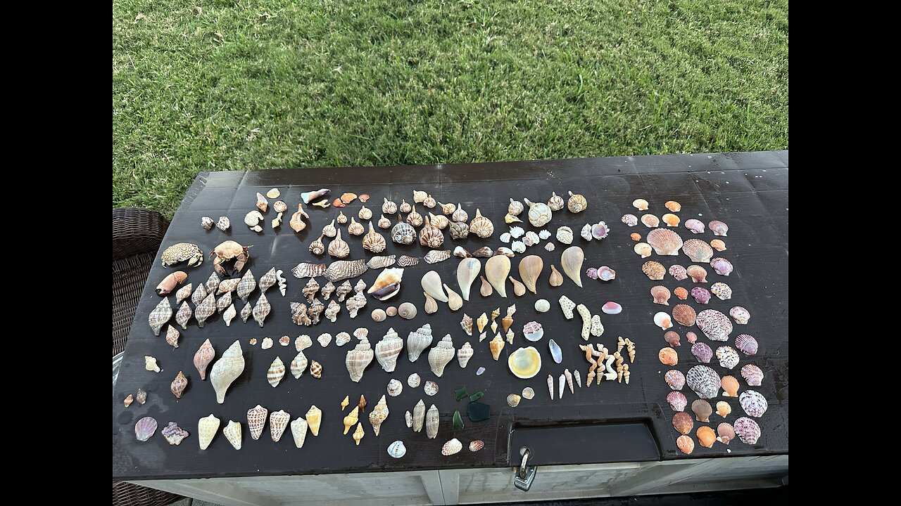 Beach Finds 3/19/25-3/20/25 | 4K