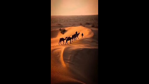 Facts About Camels! #facts #factsdaily #short #daily #randomfacts #didyouknow #animals #nature