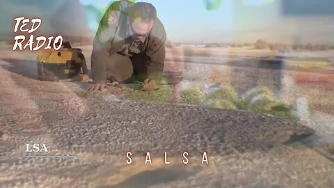 SALSA