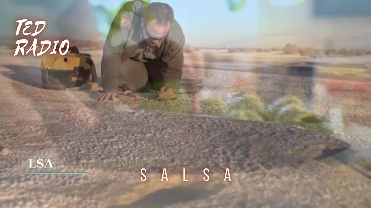 SALSA