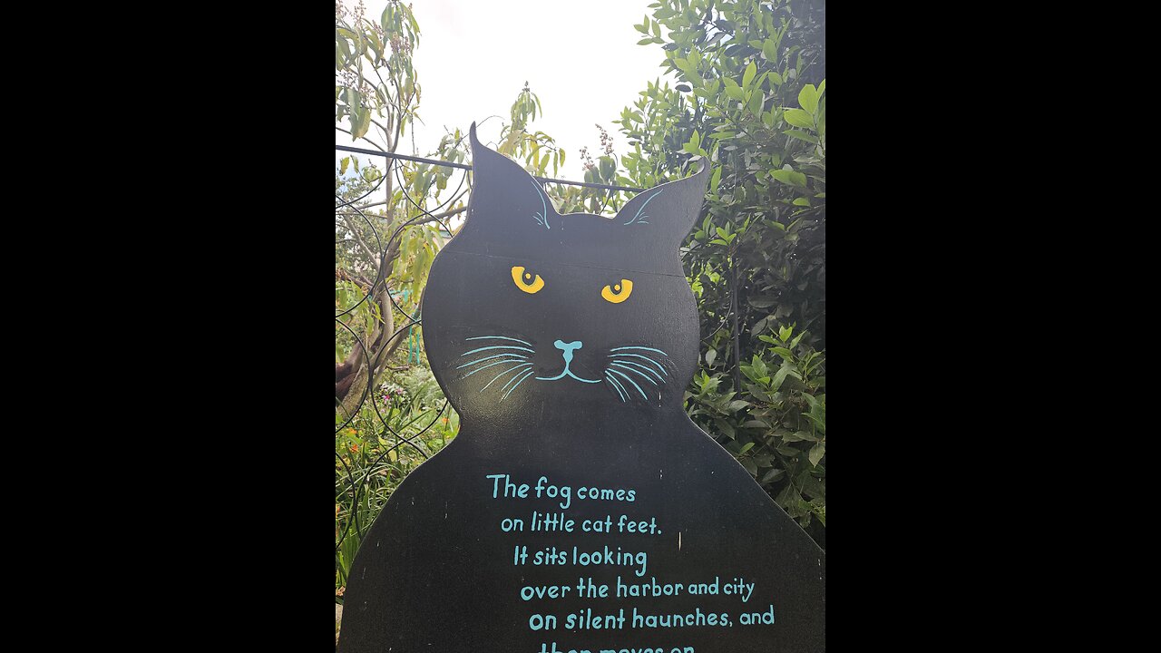 He's so happy 😄😁