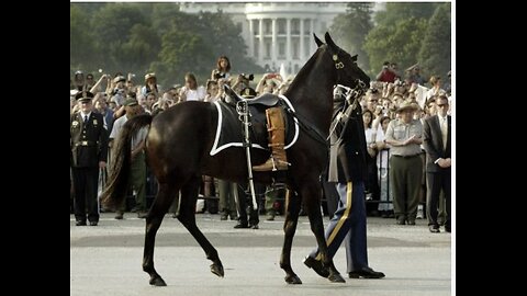 We Have An Army of Digital Soldiers