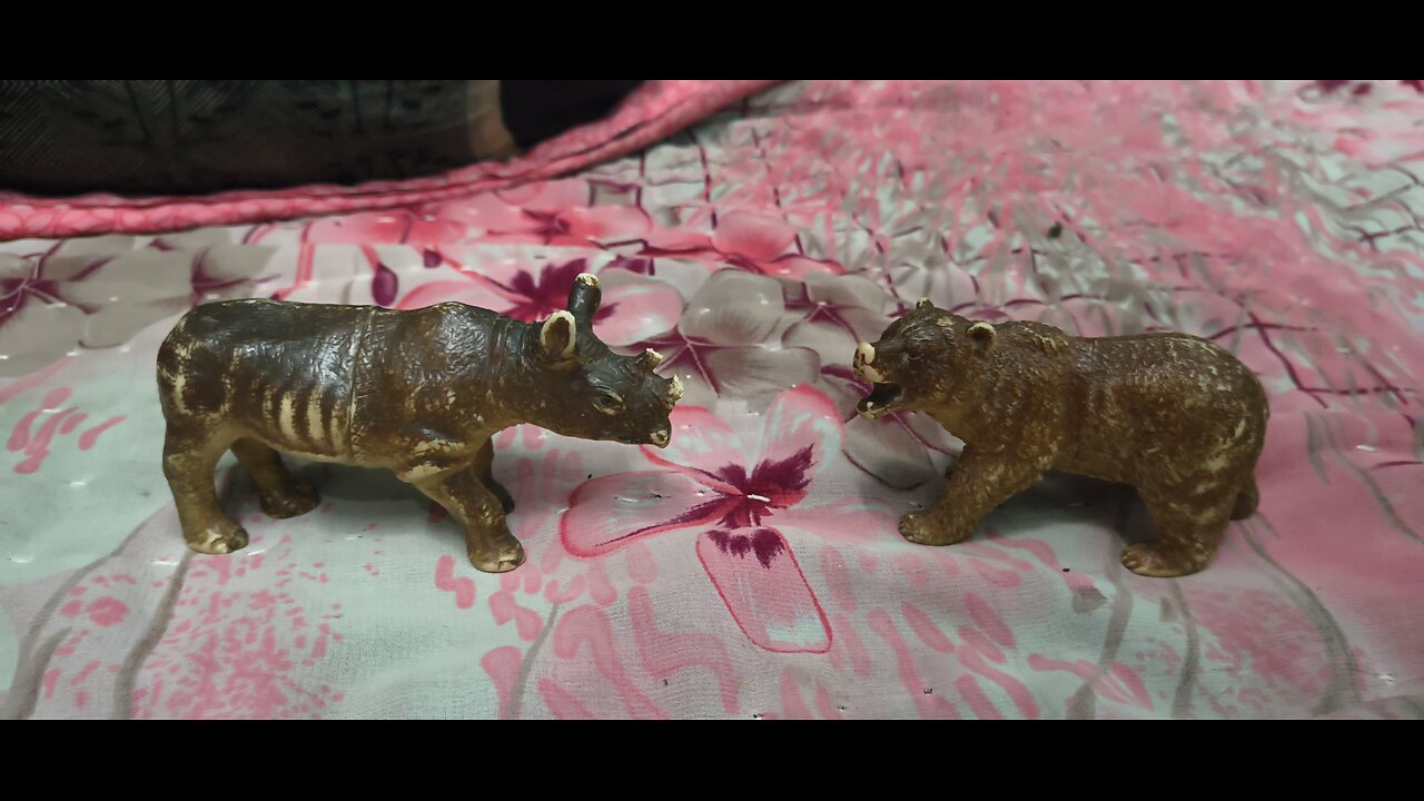 Hippo and bear fight