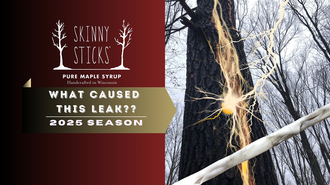 2025 Syrup Season | Crazy leak in our vacuum line | Skinny Sticks' Maple Syrup