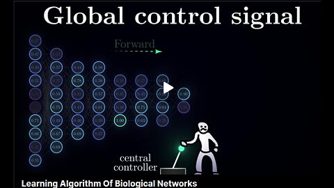 Learning Algorithm Of Biological Networks