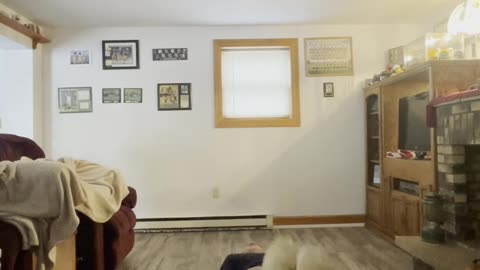 Exercising Everyday Day 103 #exercise #fitness