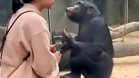 Thank You God, For Creating Such Adorable Beings 😳🤭🤣🤣🤣