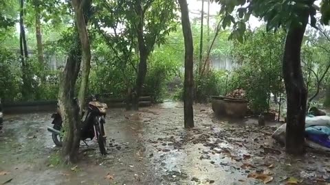 The Beauty of Rain in the Afternoon