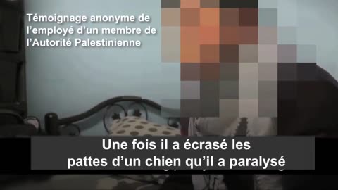 Palestinian torture, poisoning, and abuse of animals is rampant in Gaza
