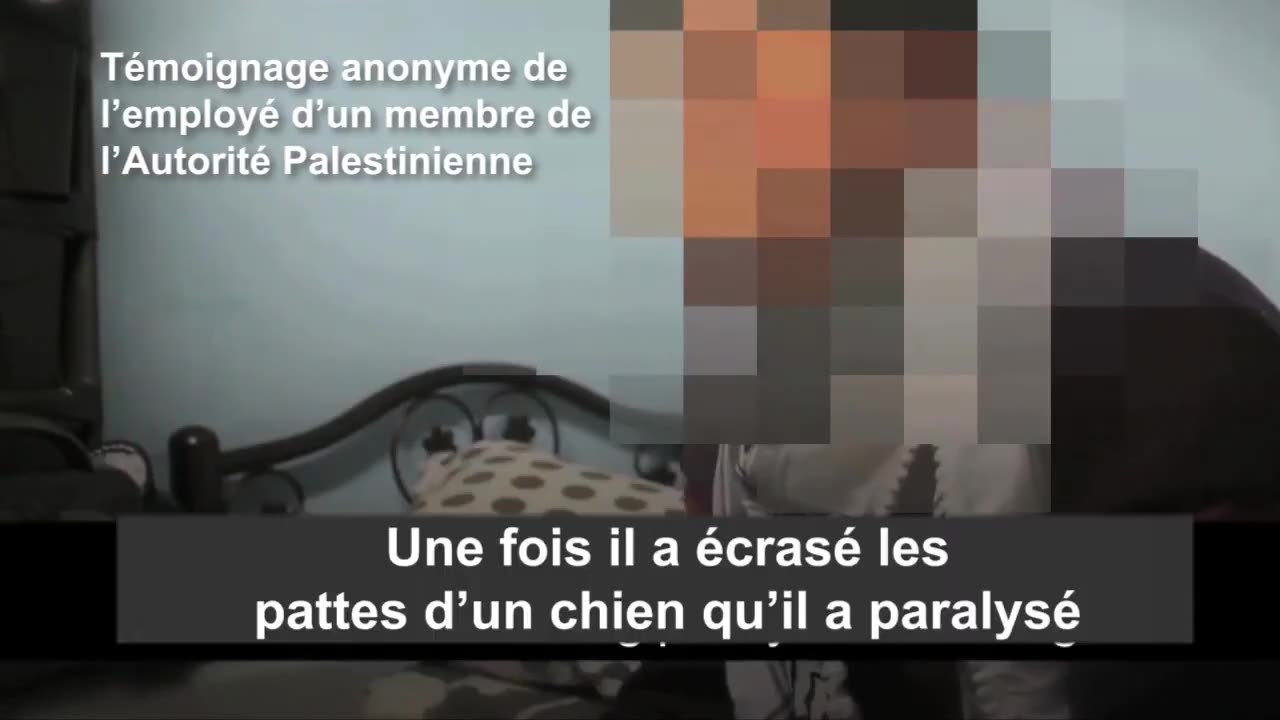 Palestinian torture, poisoning, and abuse of animals is rampant in Gaza