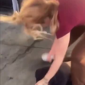 White Girl Kicks Black Girl's Ass