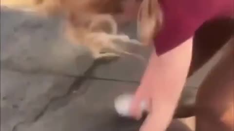 White Girl Kicks Black Girl's Ass