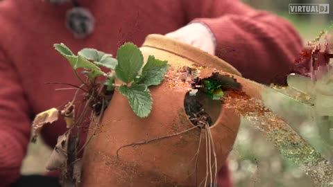 3Spirit Tv😳🙄🤣🤣❤️❤️❤️xxxx