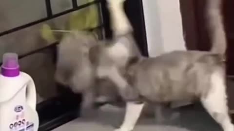 SLAPPING SUNDAY 8/10/25