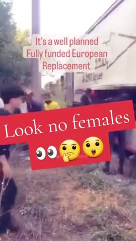 SHITSKINS GALORE SNEAKING INTO THE UK