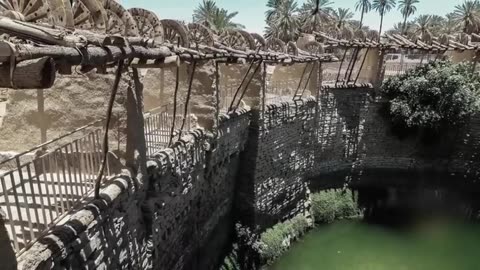 What's This?