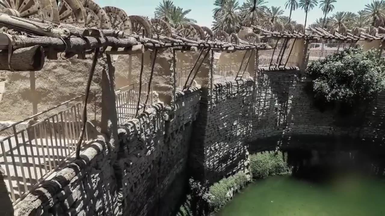 What's This?