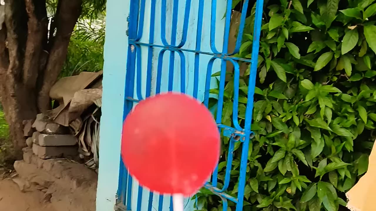 Funny #short #viral #video #subscribe