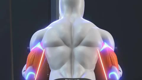 Right Workout tips